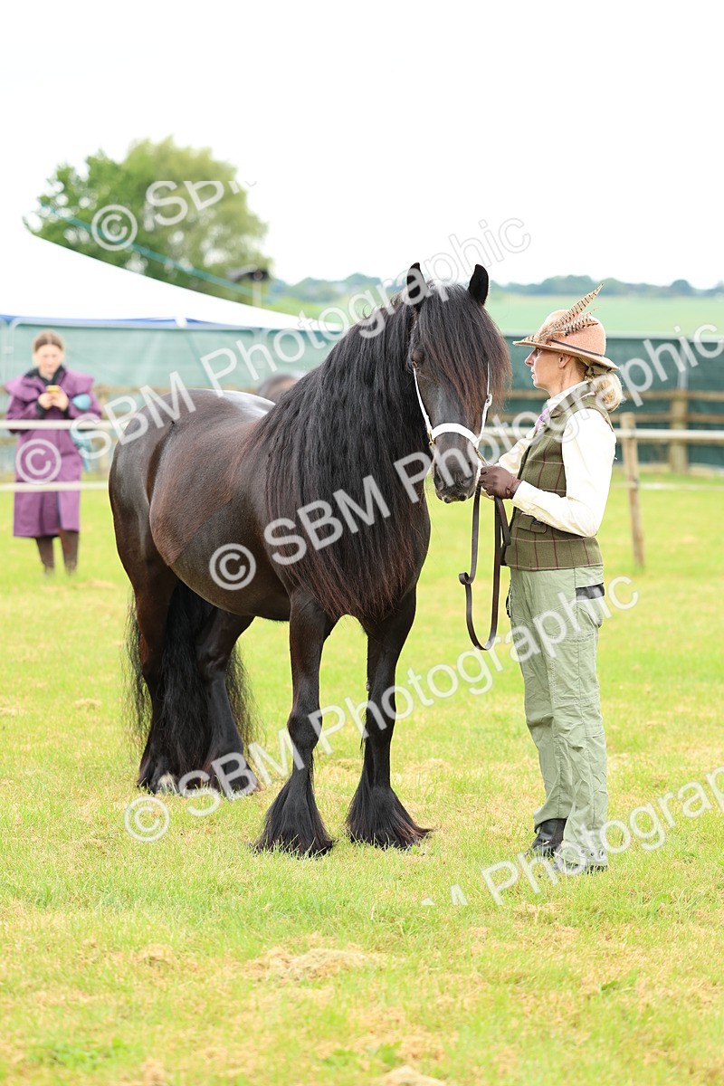 SBM_00560 - Class 58-67 - M&M Non Welsh Pony In hand