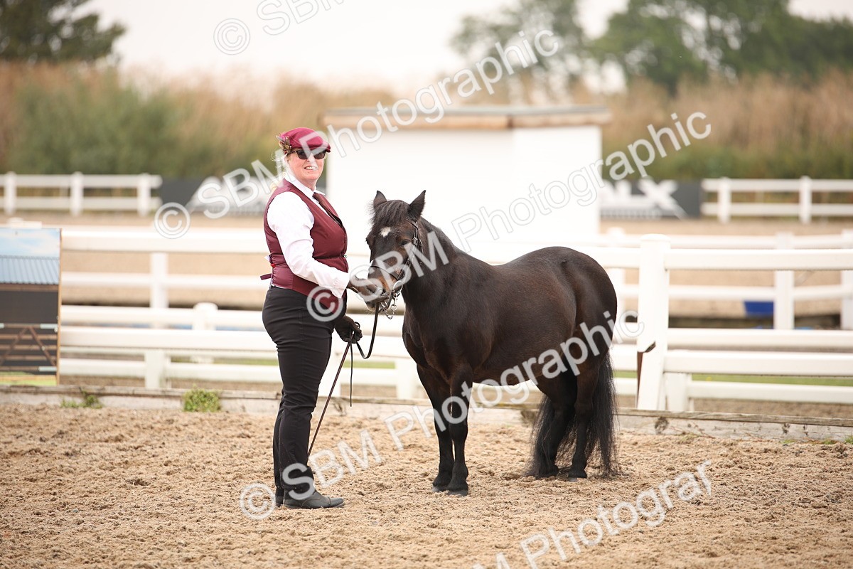 SBM_22163 - Class 707 - Ridden Groom-Helpers Class