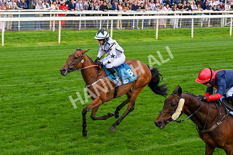 130626-Race 1-Dunkeld Dreamer-0332 - Race 1 13.50pm Queen Mother's Cup Handicap