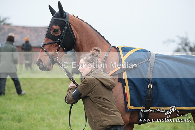 PtP 031223 431 - Wheatland Hunt PtP Chaddesley Races 03/12/23