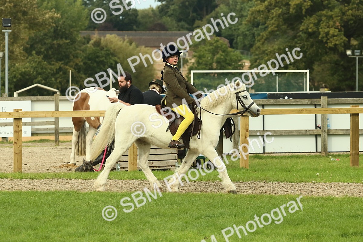 SBM_69904 - S59 - Mountain & Moorland Ridden Small Breeds