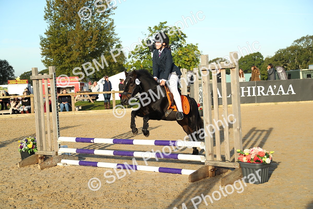 SBM_34846 - J5 - Junior Pony 50cm Championship