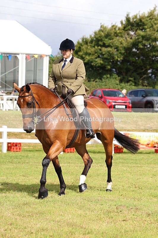 3E7A9428 - Class 4: Rising Star M/H Hunter