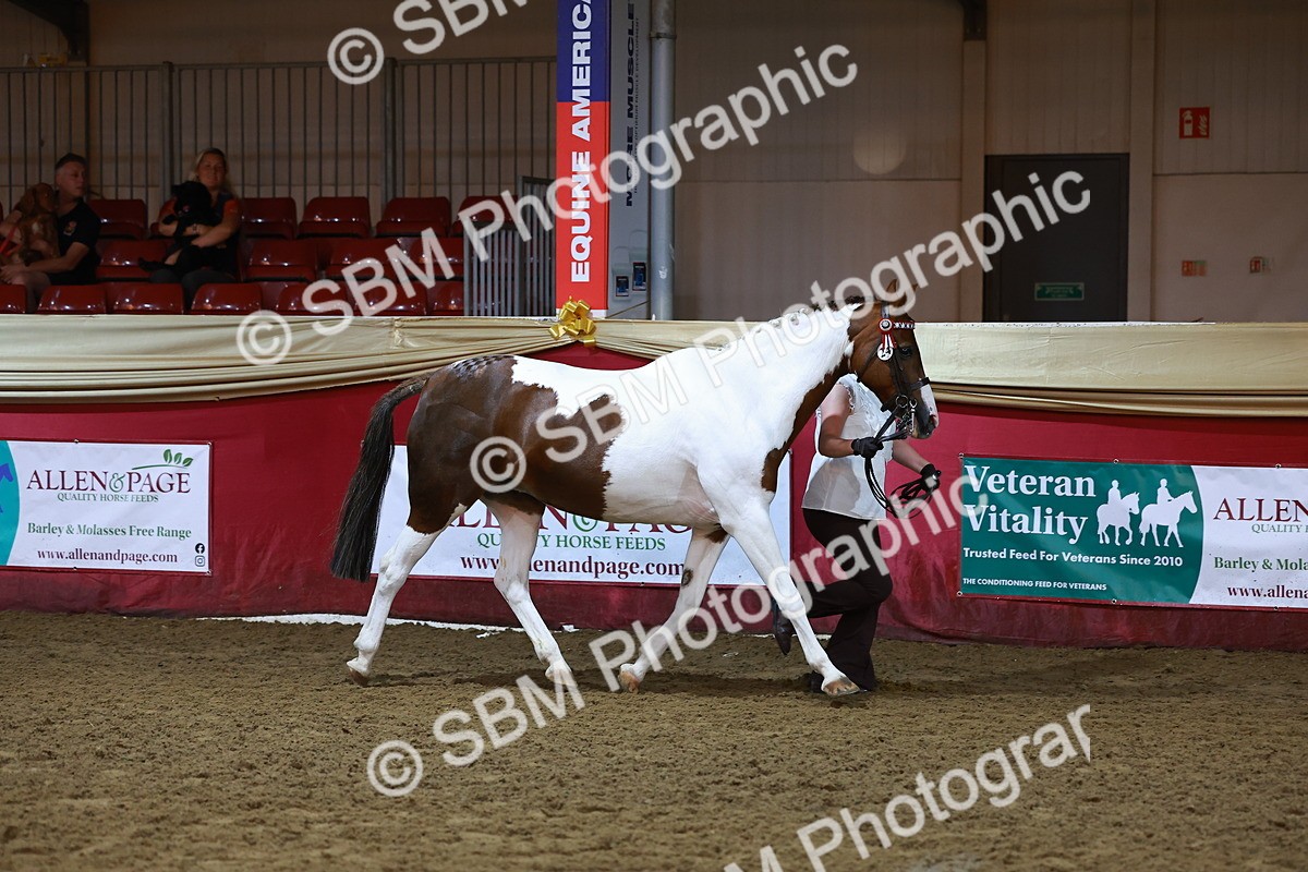 SBM_14891 - Class F - IH Small Champ