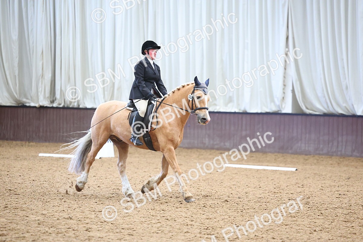 SBM_005387 - Class 3 - Novice 5