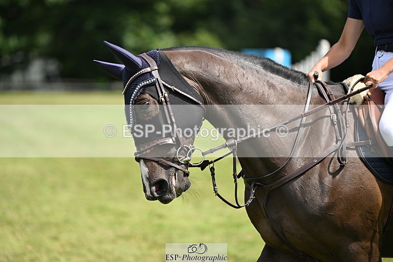 250704A-112646-07262 - Cls 25 Snr British Novice and 90cm