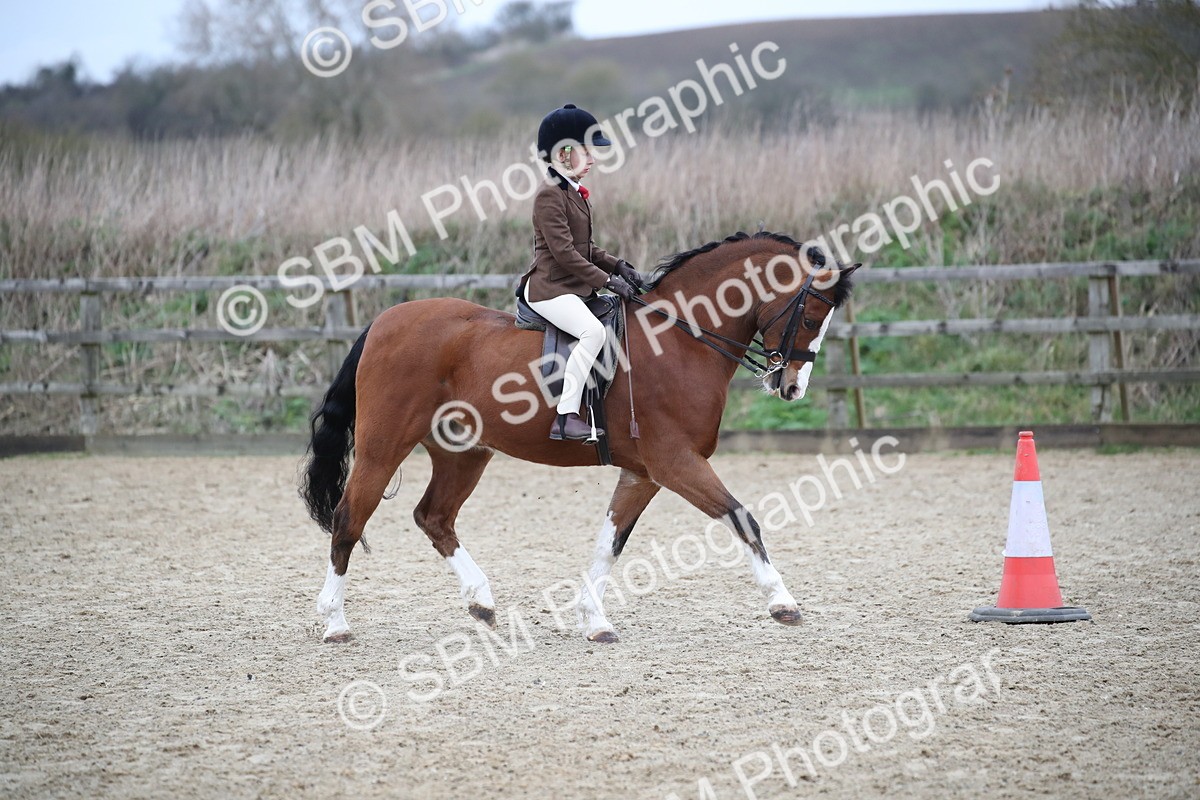 SBM_005893 - Class 10-13 - RIHS Small Large Breeds