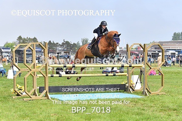 BPP_7018 - CLASS 3 RHS Fox Champ Qual (1.20m)