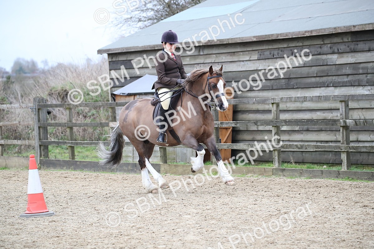 SBM_006250 - Class 10-13 - RIHS Small Large Breeds
