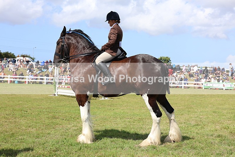 3E7A2919 - Class 13: Heavy Horse Ridden