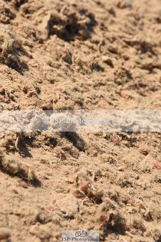 230915A-152912-00809 - Cls 13 1.10m Amateur Qualifier & 1.10m Open