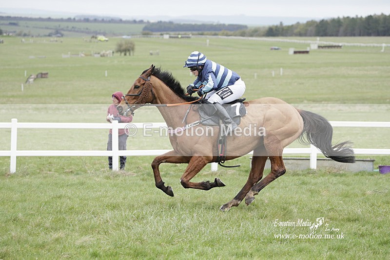 PtP 260323 0521 - New Forest Hounds Point-to-Point Larkhill 26/03/23