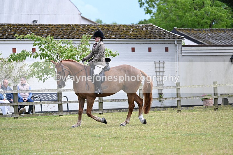 WJ7_9347 - Class 8 Ridden Veterans