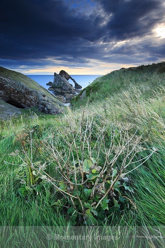 Bow Fiddle Rock Portknockie - At the waters edge gallery