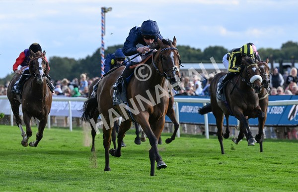 210825-249 Royal Velvet - Race 7 5.20pm British EBF Fillies' Handicap