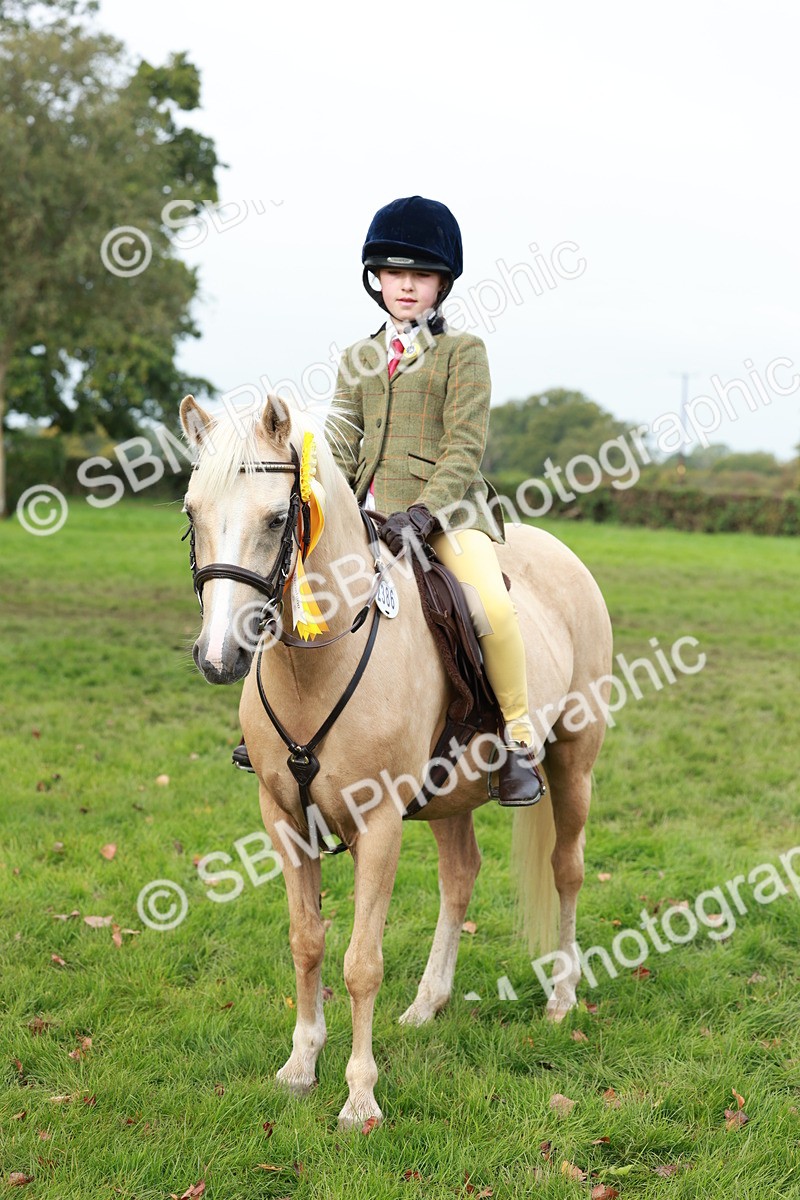 SBM_56501 - S39 - Starters In Hand Showing