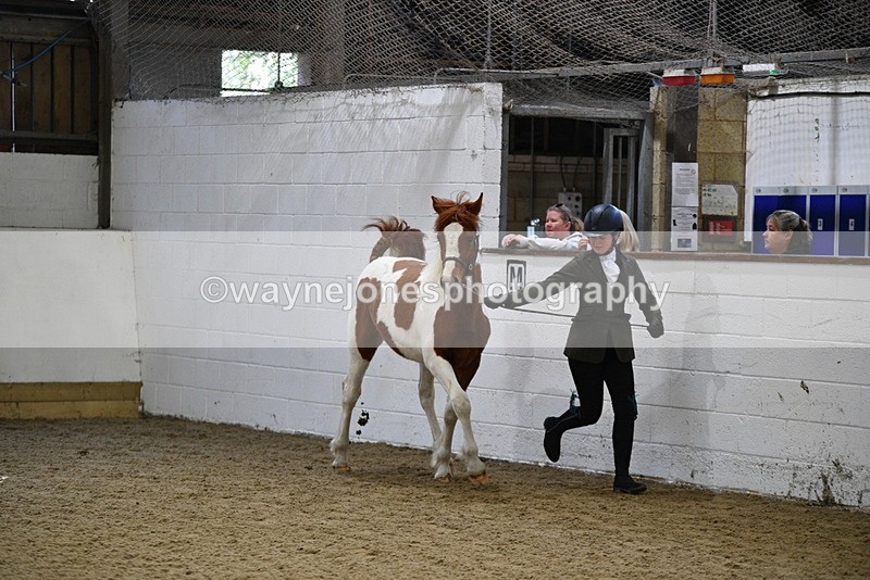 WJ5_3422 - Class 1 Youngstock