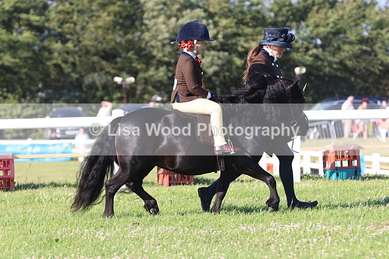JPP_0926 - Class 16: Cornish Combination Leading Rein