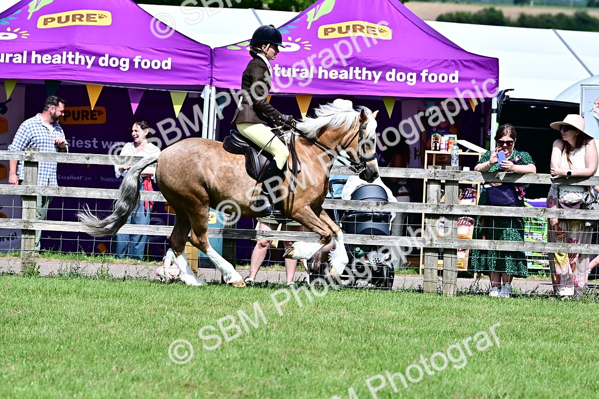 SBM_07960 - Class 61-62 - TSR  M&M Ridden Amateur of the Year