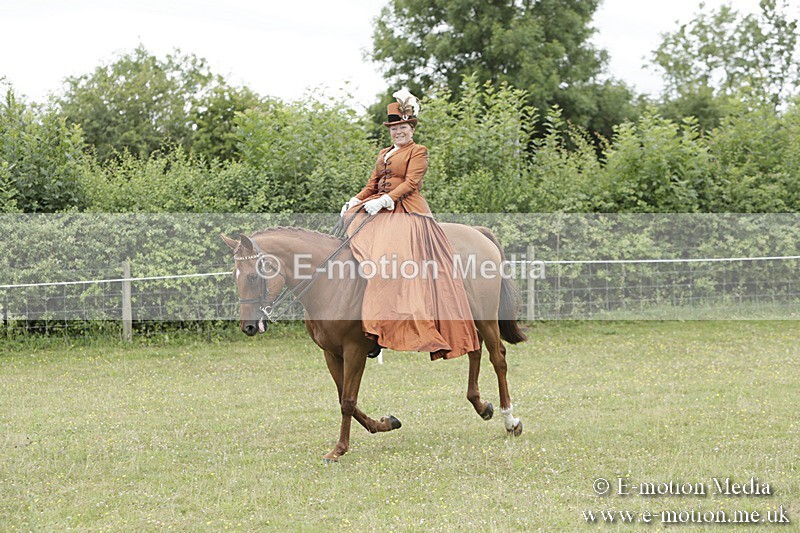 BVR160717-2435 - Side Saddle Classes 16/07/17