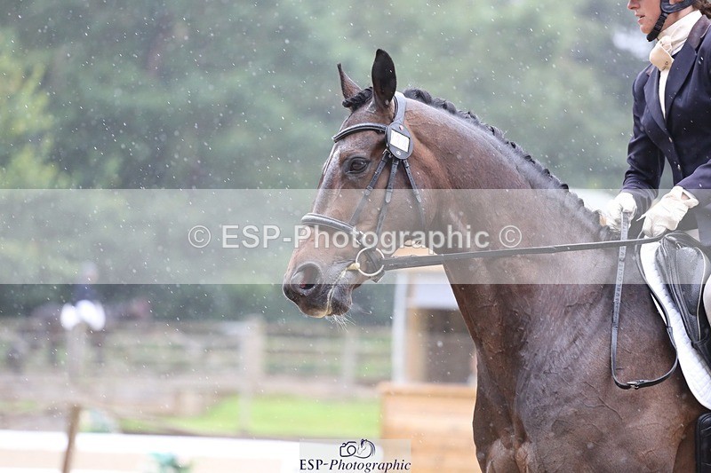 240720-115018-04595 - 234-Georgie_Dudden-Wellpark_Fearless_Fred