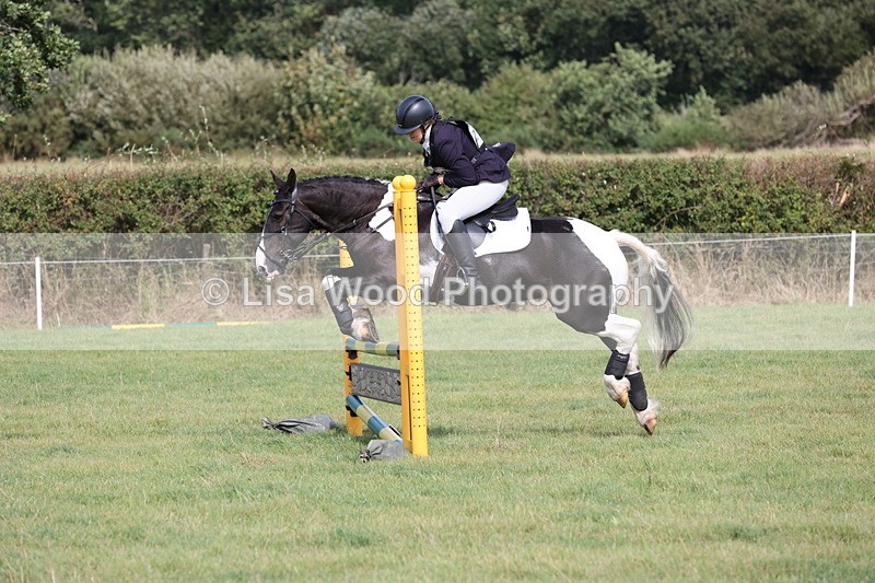 JPP_8610 - Class 2: Trekenning: 80cm Showjumping