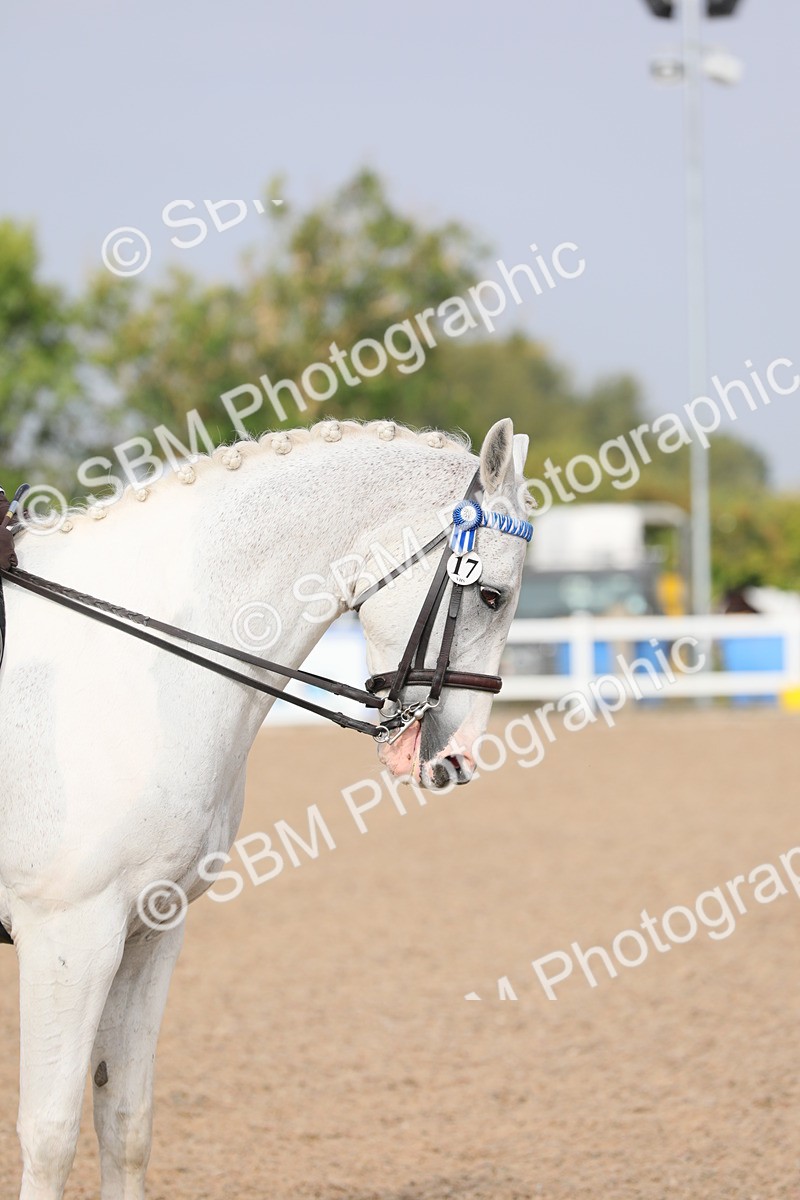 SBM_10889 - Class 304 Ridden Part Bred Horse/Pony