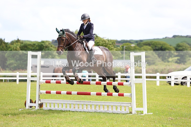 3E7A7698 - Class 13: Senior British Novice/90cm open