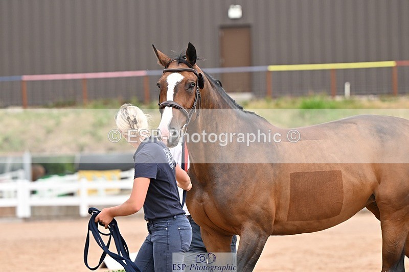 250716-151954-01878 - Trot Up 2.30 to 3.30