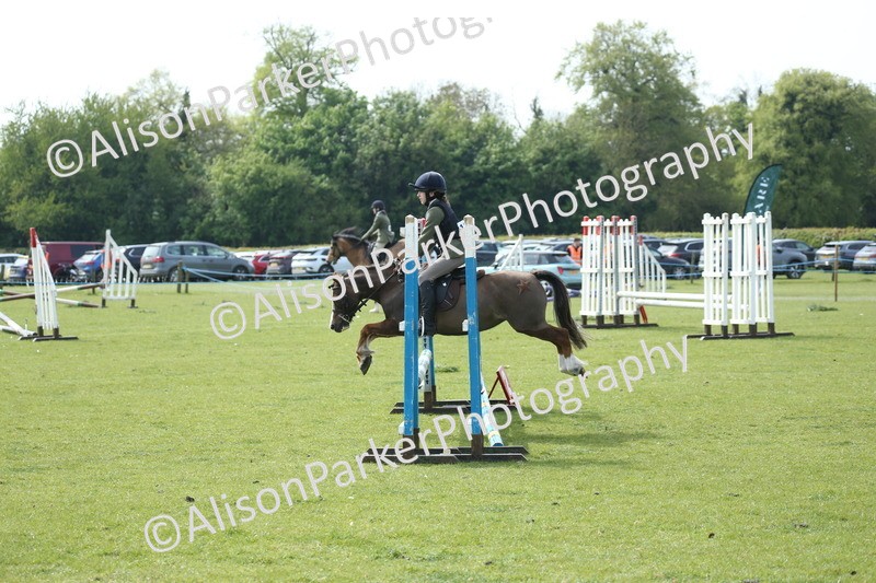 20260426-1695 - Class 14 - Novice 60cm