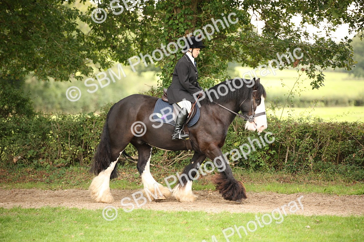 SBM_73436 - S68 - Traditional Cob Ridden