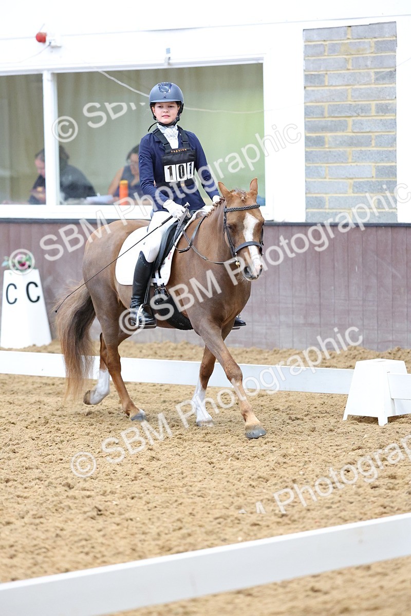 SBM_003688 - Novice