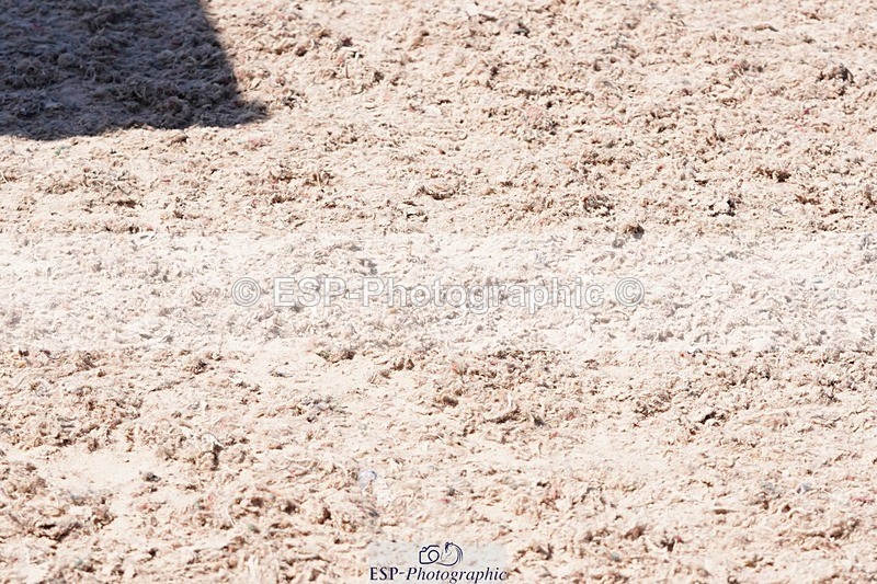 250503-143518-01567 - Cls 28 Springboard