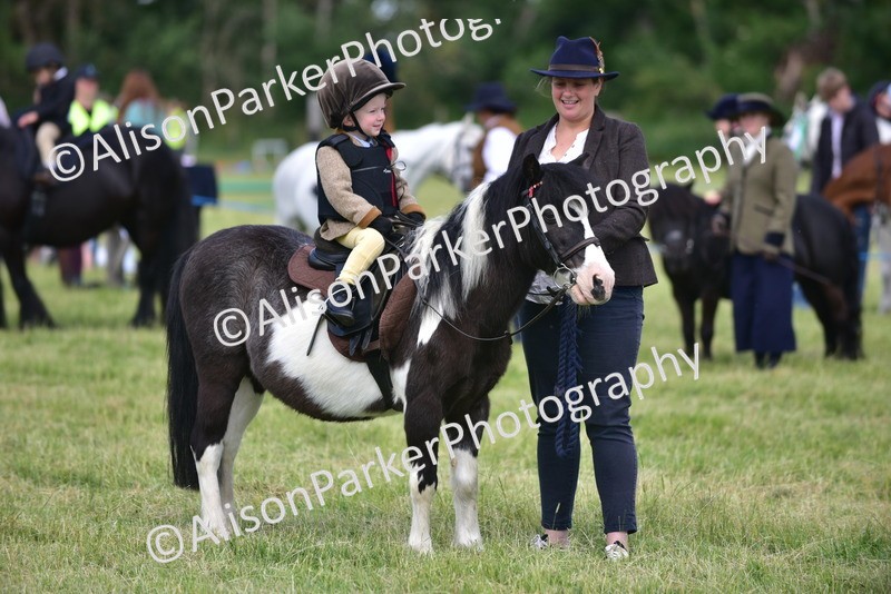 20260614-1221 - Class 11a - Lead Rein Pony (Unplaited)