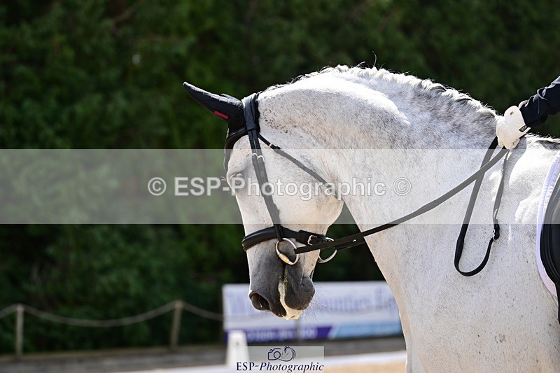 260802A-114012-05905 - Novice Silver break- end