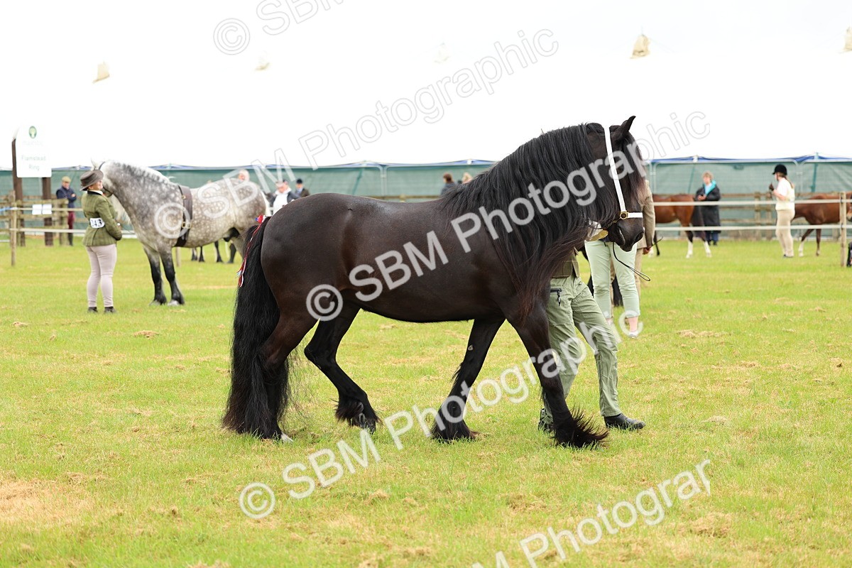 SBM_00524 - Class 58-67 - M&M Non Welsh Pony In hand