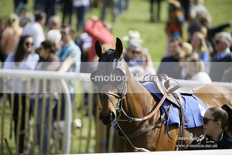PtP 180422 27 - Old Berkshire PtP Lockinge 18/04/22