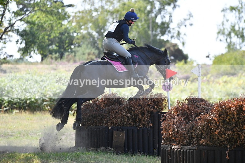 WJ5_3304 - XC Time 13:30 to 14:00