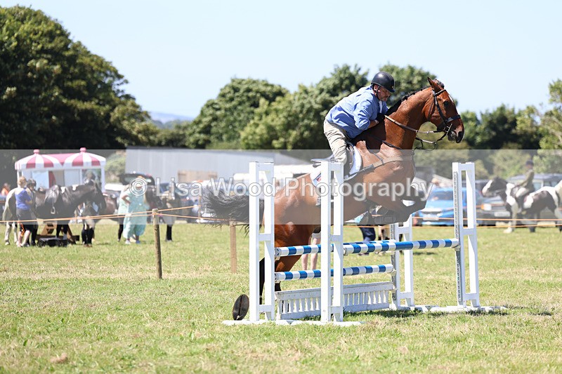 3E7A5554 - Class 9: Senior British Novice/90cm open