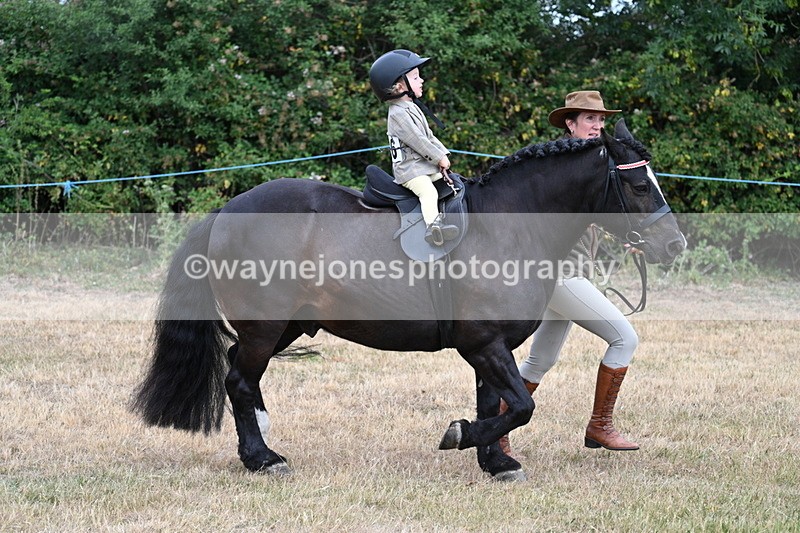 WJ7_9685 - Class 1 Lead Rein Pony