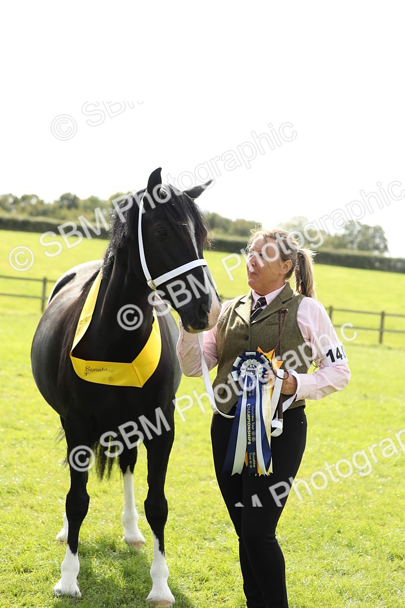 SBM_66357 - In Hand Pony & Youngstock Supreme Championship