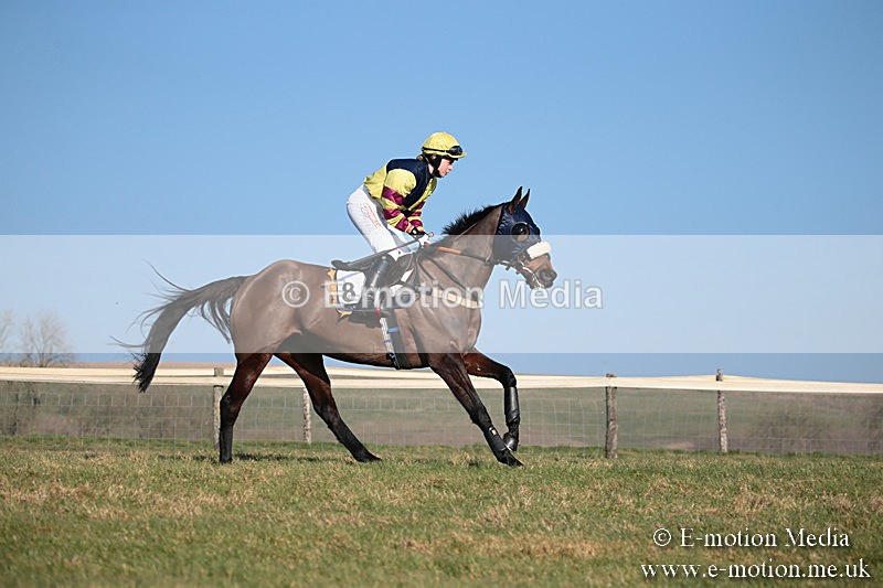 PtP 230219 381 - Vine & Craven Point-To-Point - Barbury 23/02/19