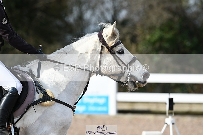 250309-102924-03342 - Cls 21+22, Club and Schools 70cm