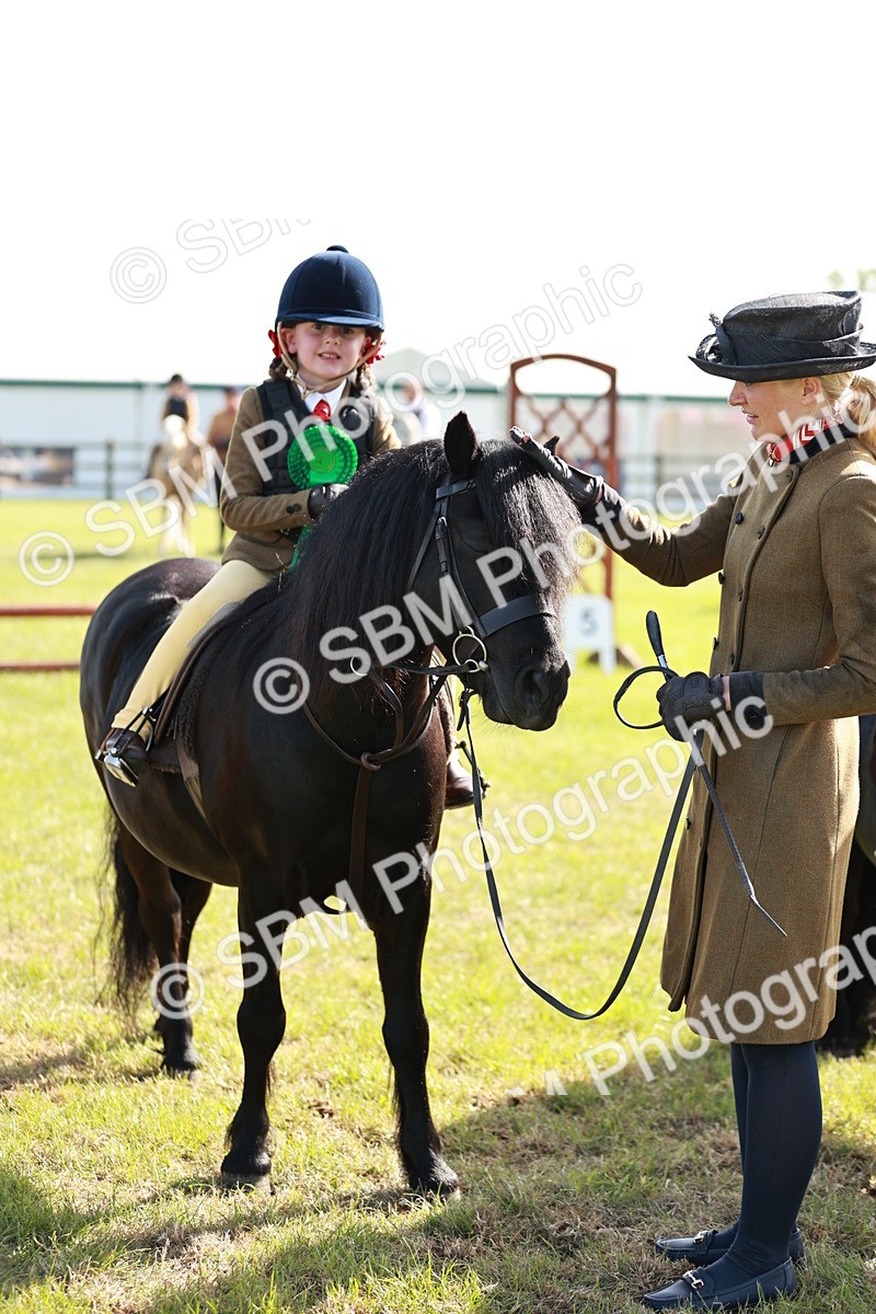 SBM_11315 - Class 106-107 - BSPS LIHS Working Sports Pony