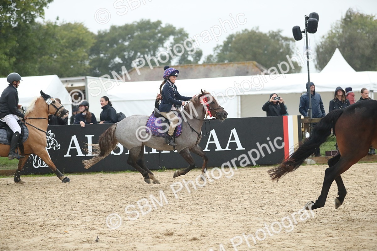 SBM_74352 - Supreme championship Junior Pony 70cm 75cm