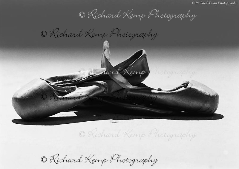Pointe010297-6661w - Performance