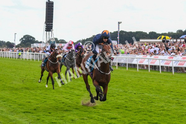 290723-Race 4-Blue Prince-0692 - Race 4 4.00pm 50K ITV7 Weekly Jackpot Nursery Handicap