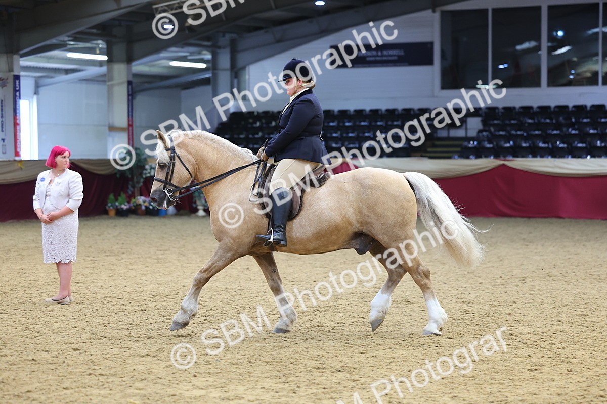 SBM_23928 - Class 905 - Supreme Final - Ridden Veteran