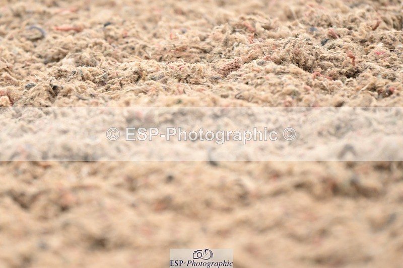 250620-091135-02414 - BD Cls 13 - Adv Medium 5