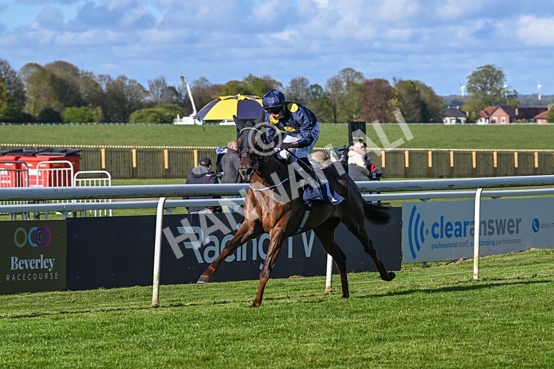 250424-Race 7-Little Rose-2019 - Race 7